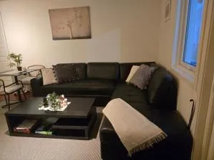 A fantastic studio for your holiday or short stay - Harestua