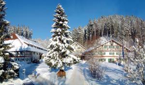 3 stern hotel Allgäu Hotel Hofgut Kürnach SB-Hotel eK Wiggensbach Deutschland