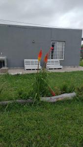 Departamento Atlántida