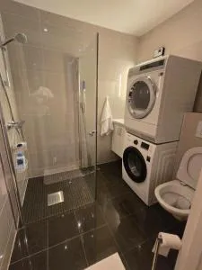 Lovely 2 bedroom apartment with free parking - Harestua