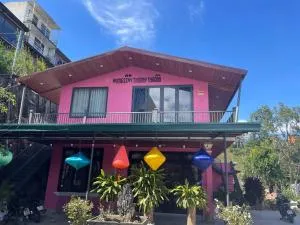 Thương Thương Đà Lạt 2 - Ấp Ðinh An (1)