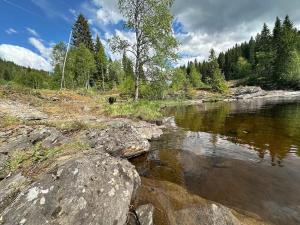 Turifoss Camping Cabin 2