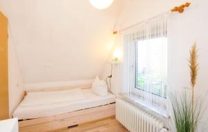 Haushaelfte-Kuddel-104