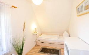 Haushaelfte-Kuddel-104