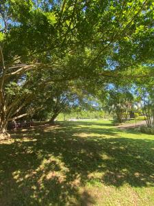 Green Island Hotel Waikkal