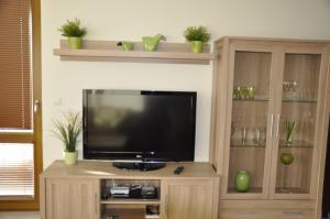 Olympic Park Apartment