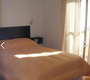 Tranquilo y luminoso departamento en Caballito