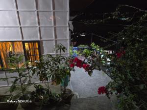 Hillside Vacationers homestay