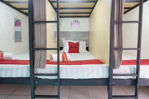Giường Đơn trong Phòng ngủ tập thể (Single Bed in Dormitory Room)