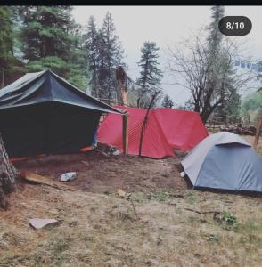 The cafe vee camping point Tosh kutla