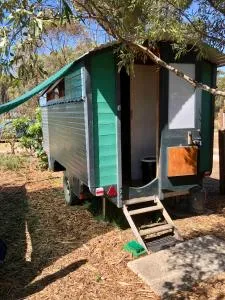 Seahorse Wagon,Kumbakaruna Blue Moon Farm - Hartebeesrivier