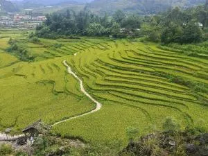 Homestay Núi Đá Tả Phìn - Phan Kơng Su