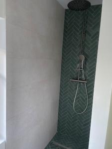 La Picane - Belle maison avec piscine et jardin