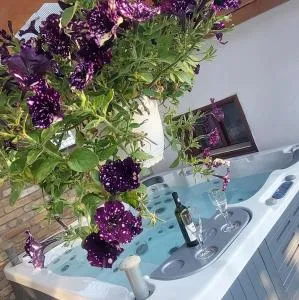 Szent Anna Vendégház Makó - Kiszombor