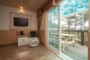 Wonju Sarichi Land in Forest Pension