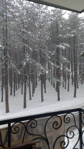 Apartman devetka Zlatibor