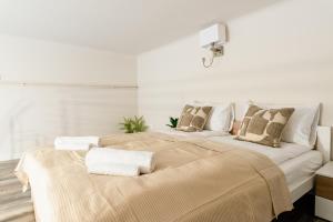 Danube Dream Apartment