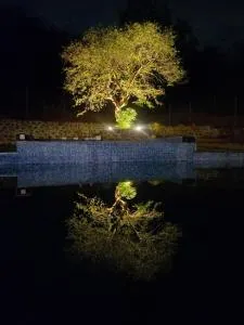 Mount Men-tion farm and Resort - Chinchavli