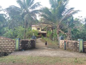 Kogre Homestay