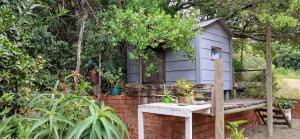 Oysterbay Nature Retreat