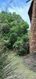 Oysterbay Nature Retreat