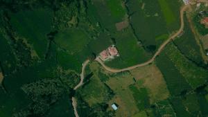 Green Leaves The Countryside Inn