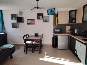 Bel appartement au pied des pistes de serre chevalier - Puy-Saint-Pierre