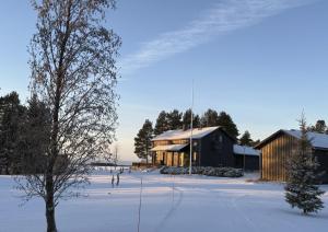 Willderness Villa Kiviniemi, Oulu region, Pyhäntä, north ostrobothnia