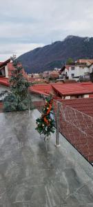 Roca House