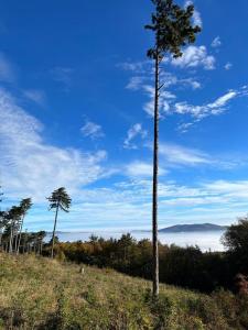 Ferienwohnung im Wienerwald