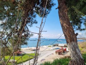 Beautiful View for your Holiday