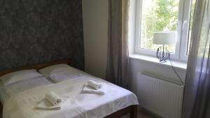 Nowy dwupokojowy apartament idealny na narty