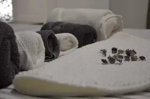 La Tana delle Lepri - Morolo