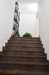 La Tana delle Lepri