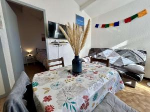 Appartement deux pièces mezzanine 4 couchages - St Cyprien plage SC310-C1E6