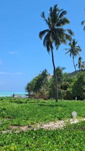 Lala House by Masala Living