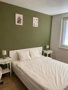 Cozy, bright room with free parking - Podunajské Biskupice