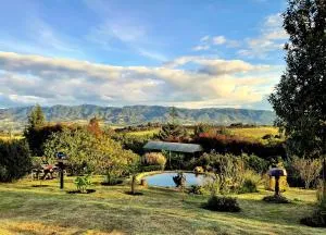 Aldea Movimiento - 比列塔