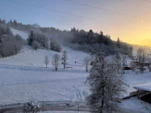 Apartment „Bergblick“