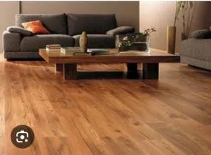 The Royal Luxury AC Apartment - Katni