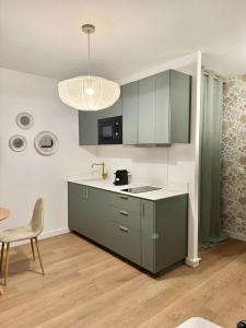 M033 superbe studio centre ville