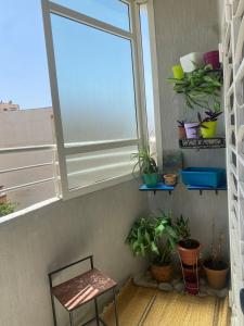 Luxury Apartment Meknes