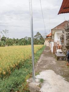Maha House Mid of Ricefields