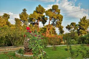 Green, White & Guest Houses by Dimitrios Ballas in Kriopigi, Halkidiki, Greece