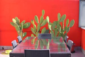 Farnesina Rooftop Terrace