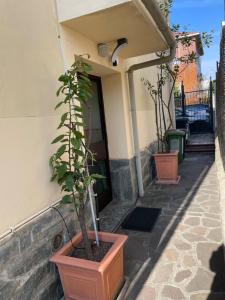 Cozy Apartment in Milan