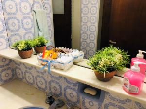 Casa frente al rio San Antonio Playas de Oro Villa Carlos Paz