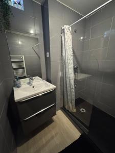 Appartement centre ville