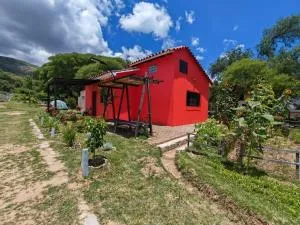 Armonia - La Victoria - Tarija - Tomatas