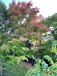 El Molino de Leyte - Charming Riverside Cottage in Carmona, Cantabria